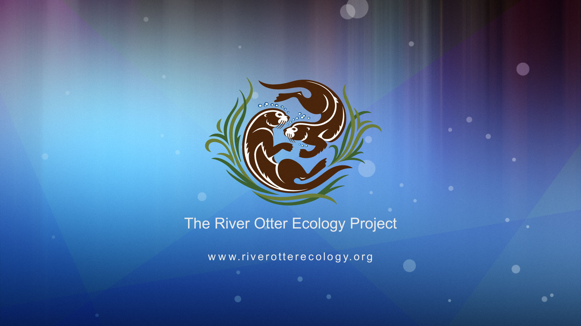 The River Otter Ecology Project | As the River Flows | Video by Little Fluffy Clouds a Bay Area Animation Studio