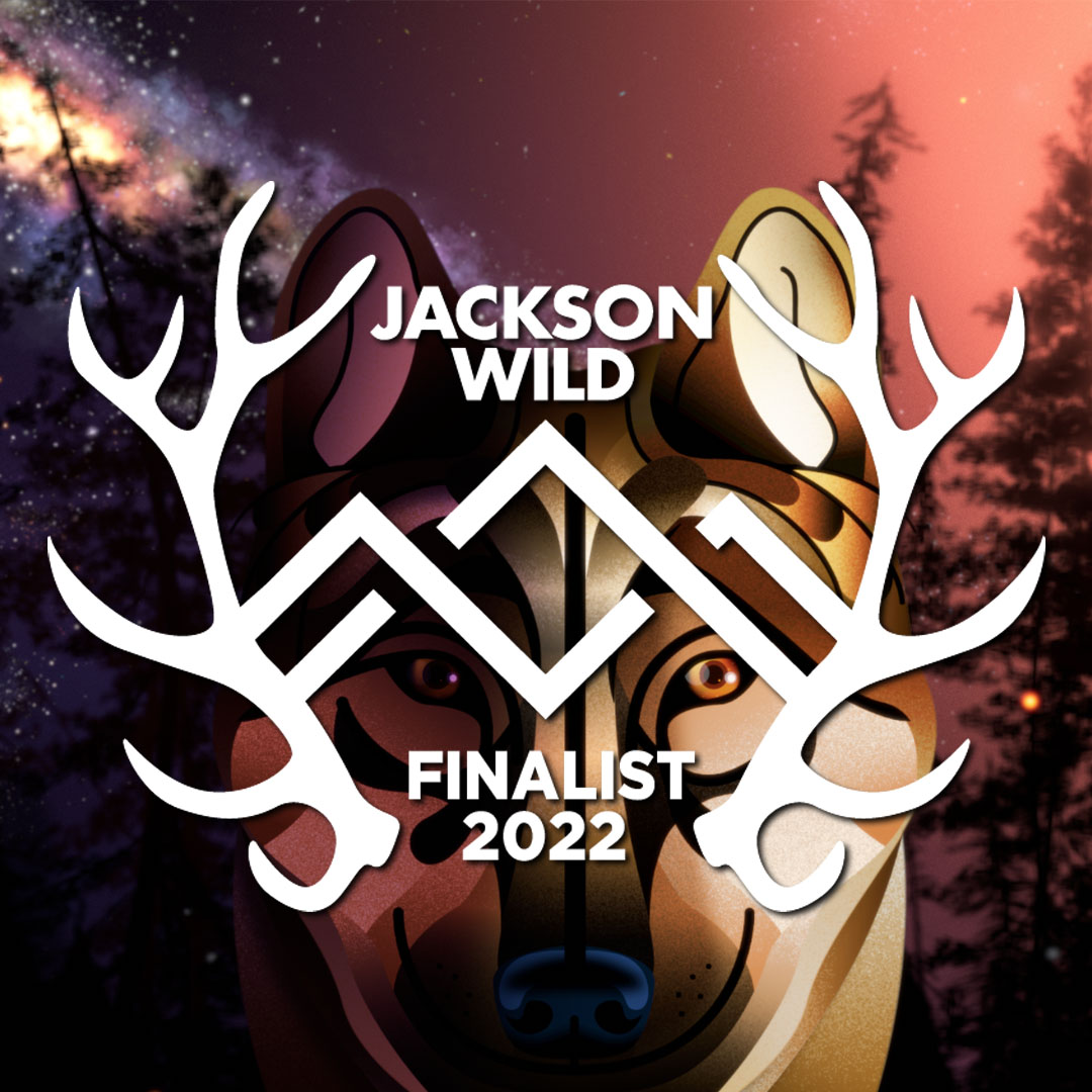 Jackson Wild Media Awards | Yellowstone 88 | Song of Fire | Award Winning Animated Poem by Little Fluffy Clouds a Bay Area Animation Studio