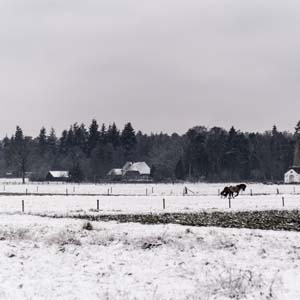 Jerry van de Beek - Photography